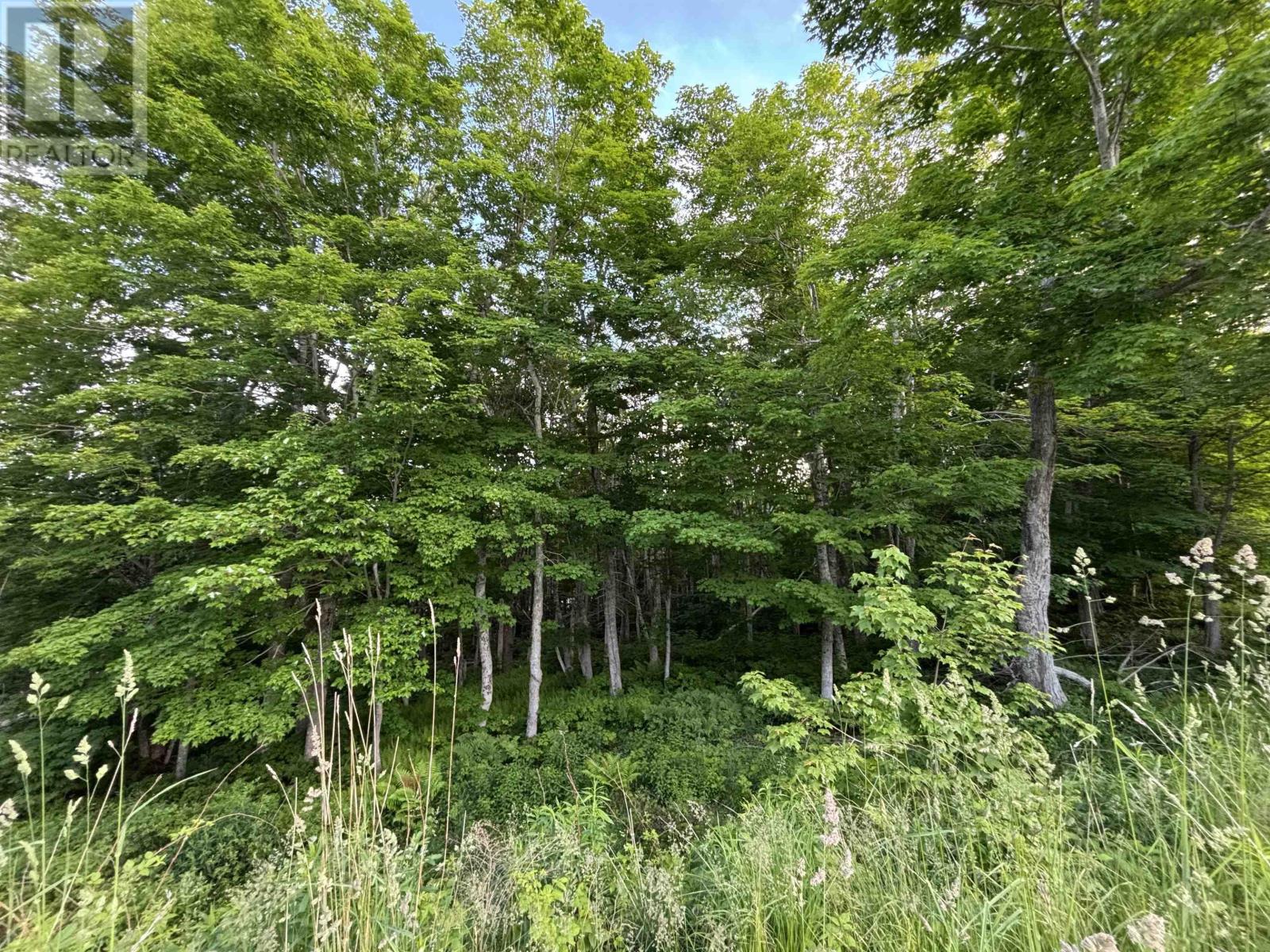 28 Parkland Place, dalem lake, Nova Scotia