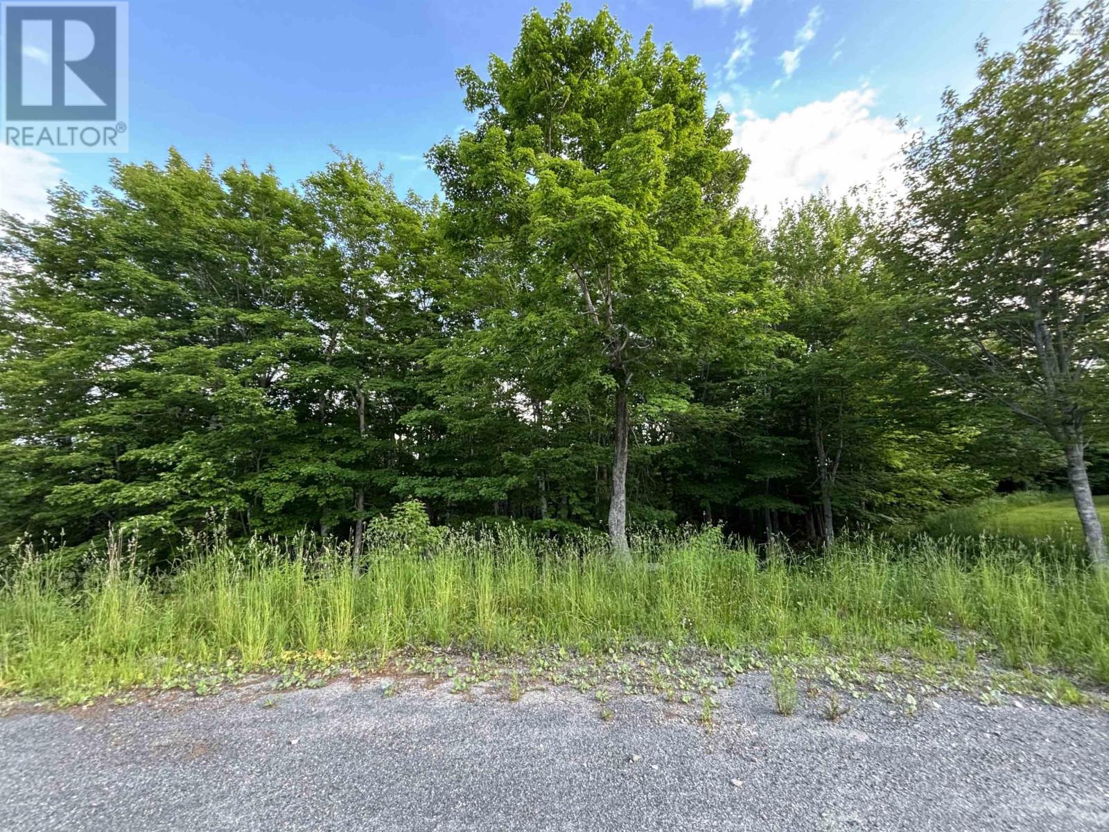 28 Parkland Place, Dalem Lake, Nova Scotia  B1Y 2X9 - Photo 2 - 202622015