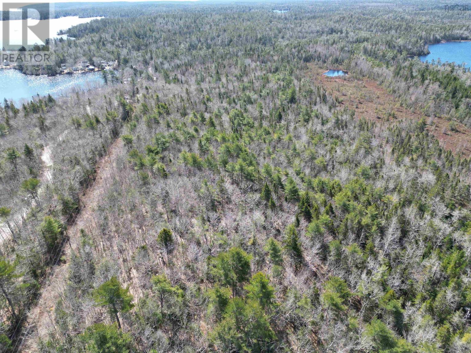 No 3 Highway, Simms Settlement, Nova Scotia  B0J 1T0 - Photo 14 - 202622013