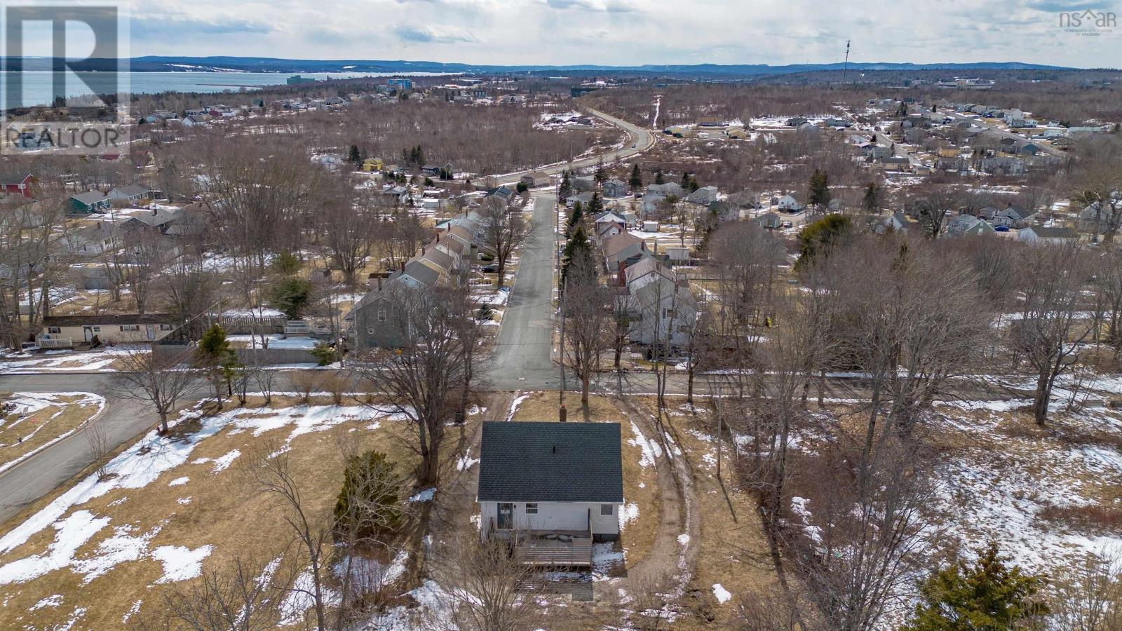 22 Archibald Street, Sydney Mines, Nova Scotia  B1V 2Y5 - Photo 39 - 202622049