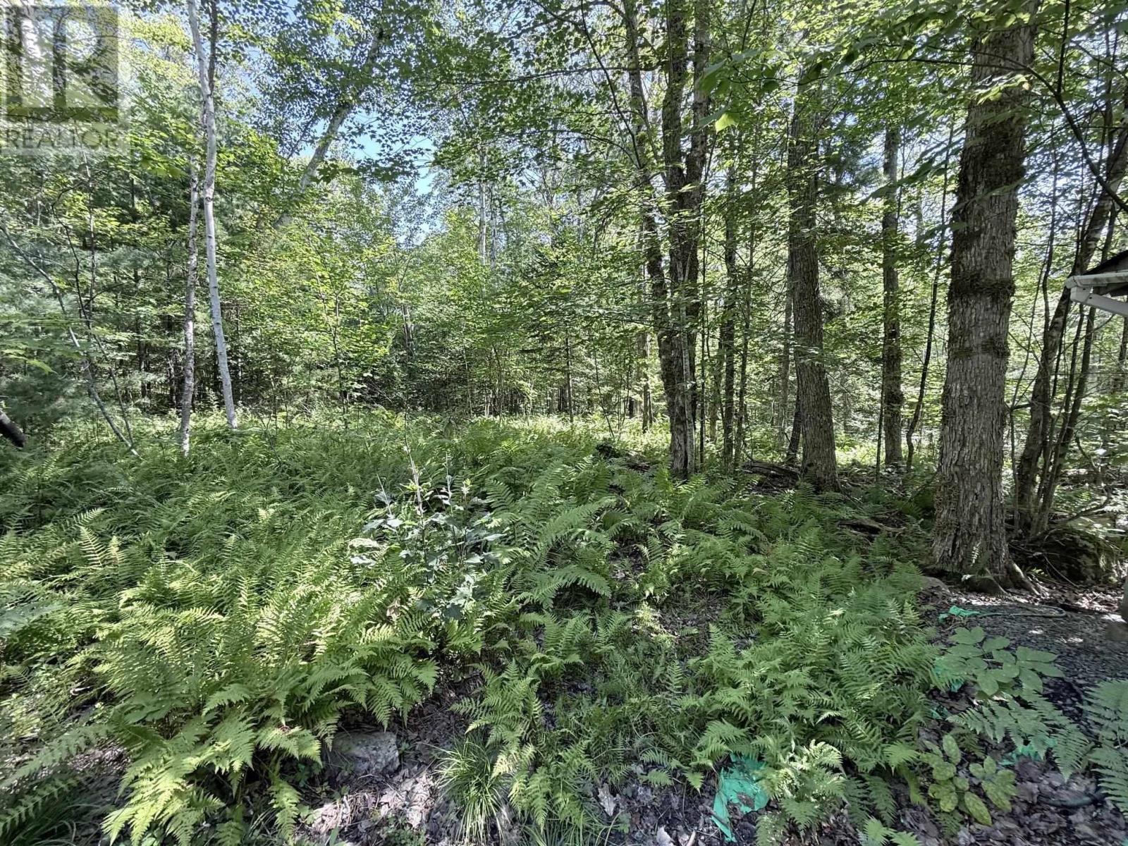 437 Baker Point Road, Molega North, Nova Scotia  B0T 1X0 - Photo 17 - 202622107