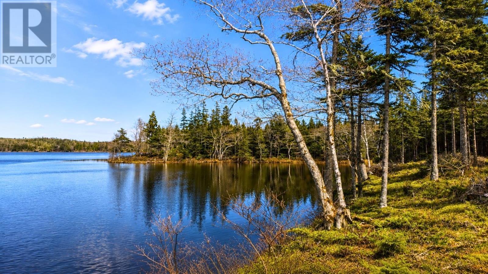 Lot 4 Highway 4, False Bay, Nova Scotia  B0E 1V0 - Photo 10 - 202622380