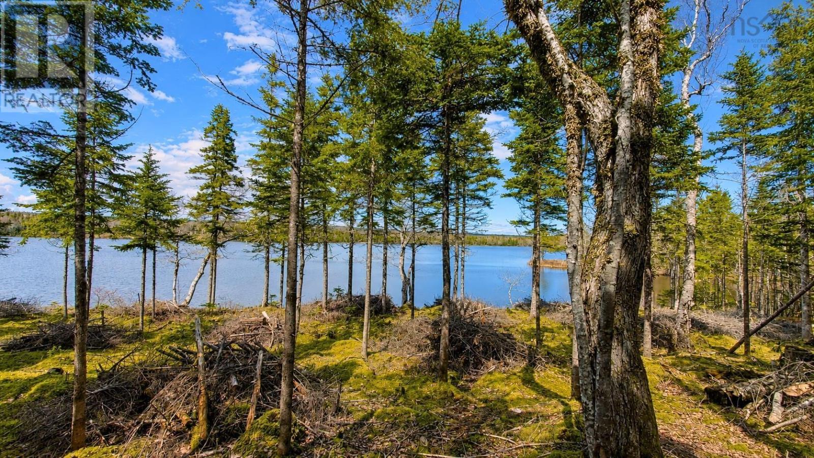 Lot 4 Highway 4, False Bay, Nova Scotia  B0E 1V0 - Photo 2 - 202622380