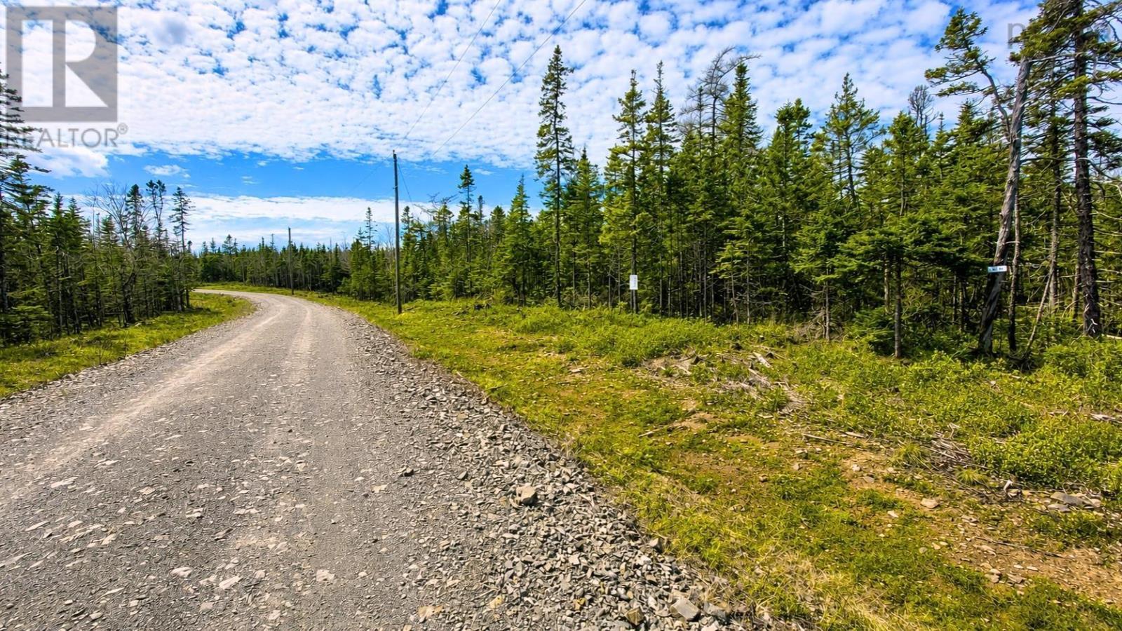 Lot 4 Highway 4, False Bay, Nova Scotia  B0E 1V0 - Photo 4 - 202622380