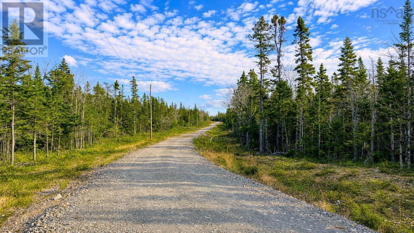 Lot 4 Highway 4, False Bay, Nova Scotia  B0E 1V0 - Photo 9 - 202622380