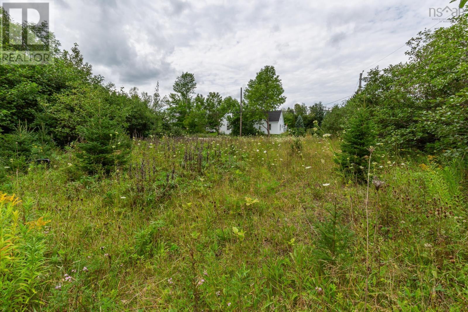 Lot 1 Main Street, Whycocomagh, Nova Scotia  B0E 3M0 - Photo 11 - 202622382