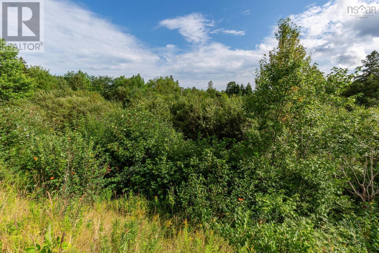 Lot 92-2 Highway 105, Whycocomagh, Nova Scotia  B0E 3M0 - Photo 13 - 202622383
