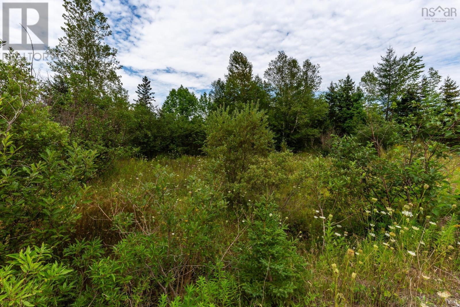 Lot 92-2 Highway 105, Whycocomagh, Nova Scotia  B0E 3M0 - Photo 9 - 202622383