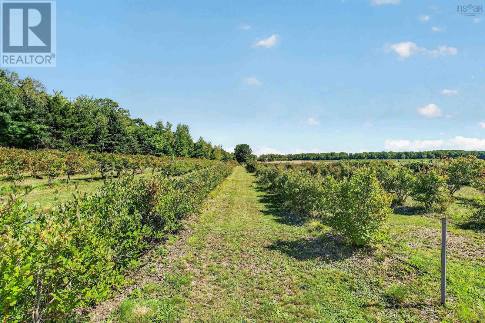 1235 Sherman Belcher Road, Centreville, Nova Scotia  B0P 1J0 - Photo 48 - 202622393