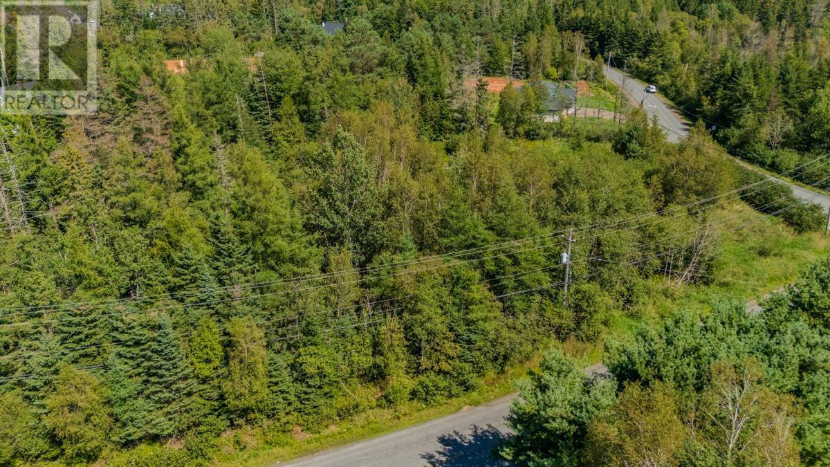 Lot 08s-5a Old Court House Branch Road, Valley, Nova Scotia  B6L 2P9 - Photo 6 - 202622397