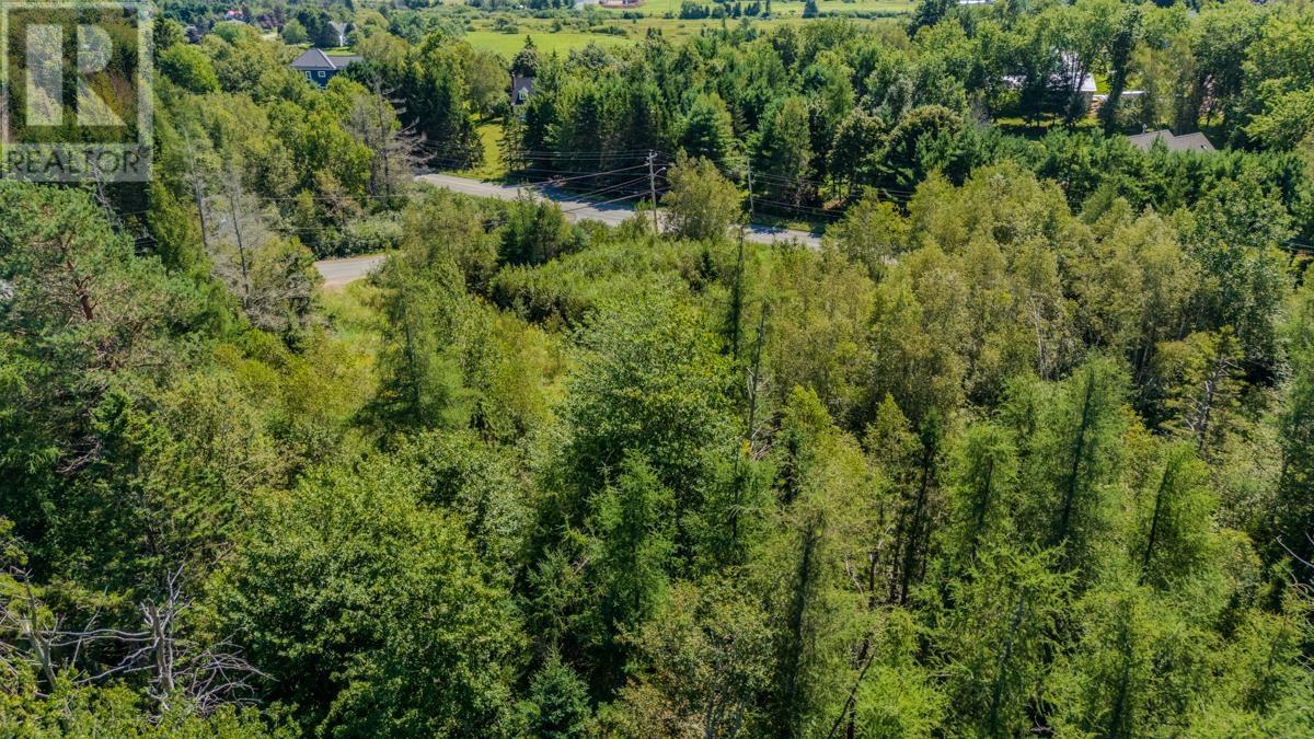 Lot 08s-5a Old Court House Branch Road, Valley, Nova Scotia  B6L 2P9 - Photo 8 - 202622397