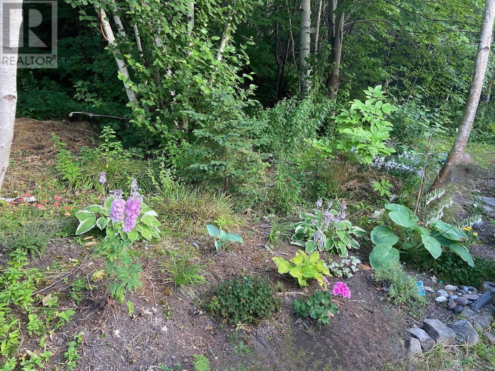 Lot 21-8 Shore Road, Margaree Harbour, Nova Scotia  B0E 2B0 - Photo 23 - 202622411