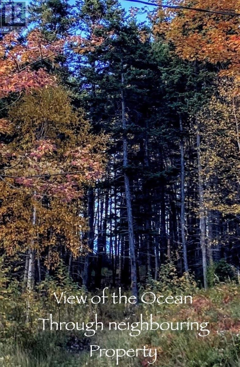 Lot 21-8 Shore Road, Margaree Harbour, Nova Scotia  B0E 2B0 - Photo 40 - 202622411