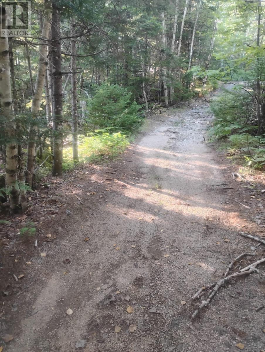 Lot 17 Tupper Lake, Westfield, Nova Scotia  B0T 1B0 - Photo 11 - 202622482