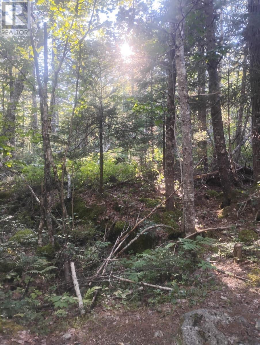 Lot 17 Tupper Lake, Westfield, Nova Scotia  B0T 1B0 - Photo 13 - 202622482