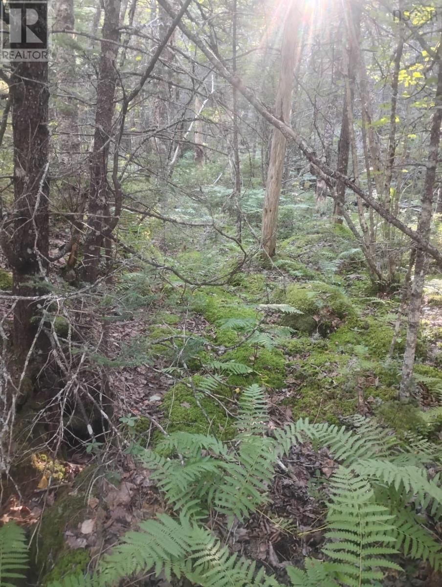 Lot 17 Tupper Lake, Westfield, Nova Scotia  B0T 1B0 - Photo 14 - 202622482
