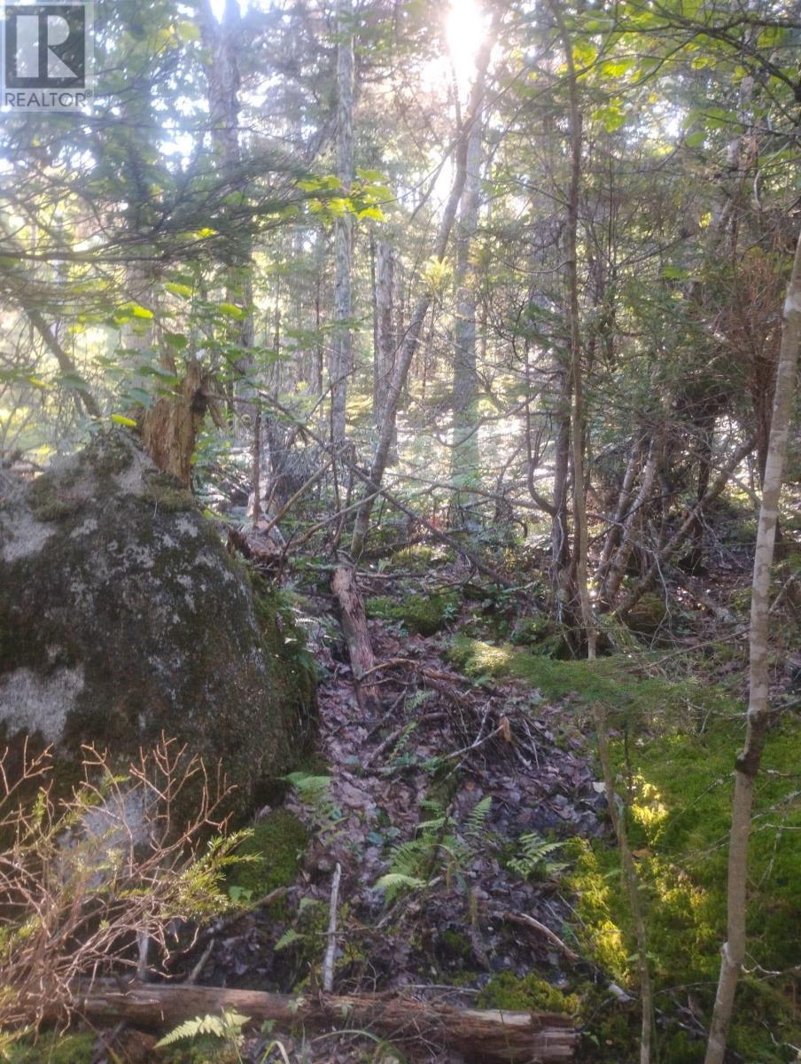 Lot 17 Tupper Lake, Westfield, Nova Scotia  B0T 1B0 - Photo 15 - 202622482