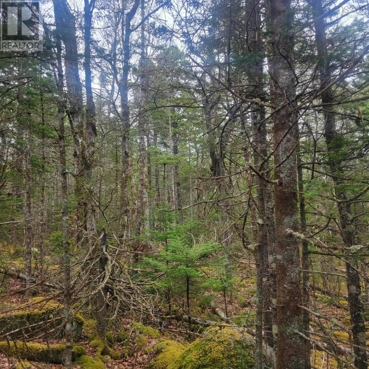 Lot 17 Tupper Lake, Westfield, Nova Scotia  B0T 1B0 - Photo 2 - 202622482