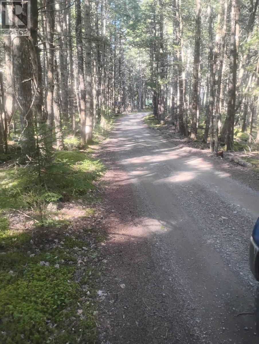 Lot 17 Tupper Lake, Westfield, Nova Scotia  B0T 1B0 - Photo 8 - 202622482