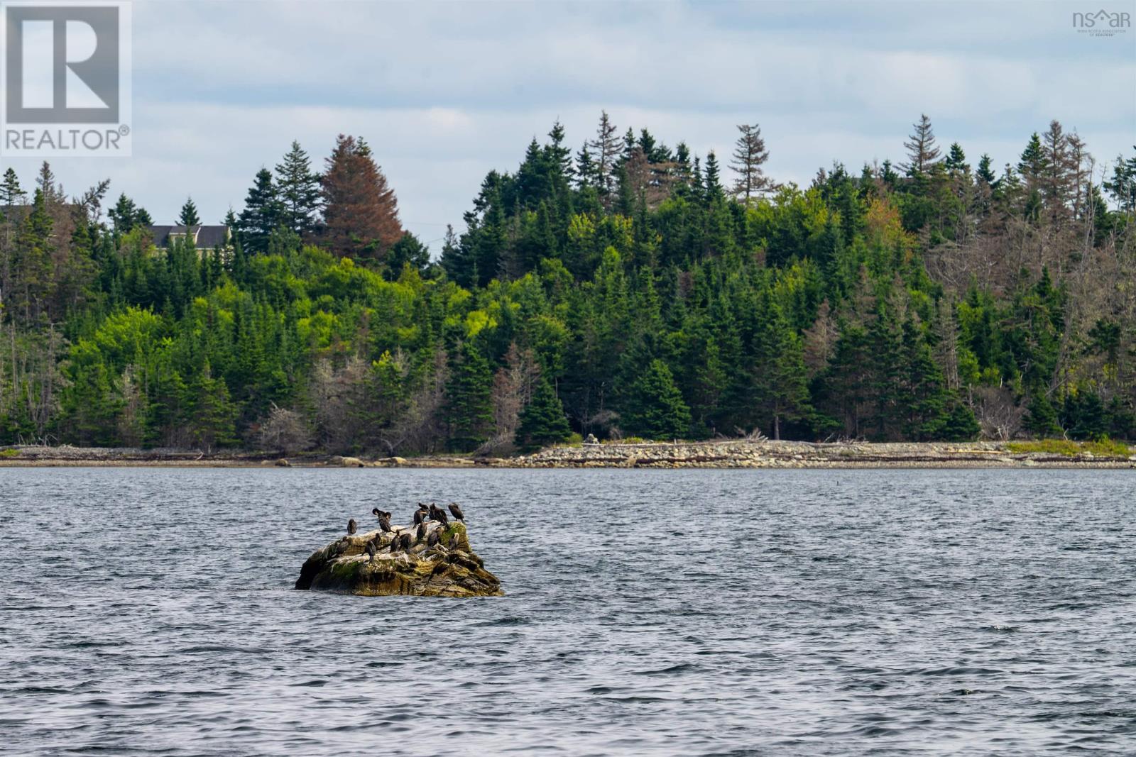 Lot 2 Highway 7, Port Dufferin, Nova Scotia  B0J 2R0 - Photo 13 - 202622662