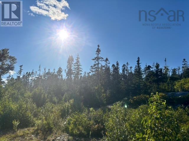Lot 2 Highway 7, Port Dufferin, Nova Scotia  B0J 2R0 - Photo 15 - 202622662