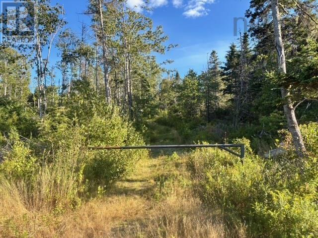 Lot 2 Highway 7, Port Dufferin, Nova Scotia  B0J 2R0 - Photo 18 - 202622662