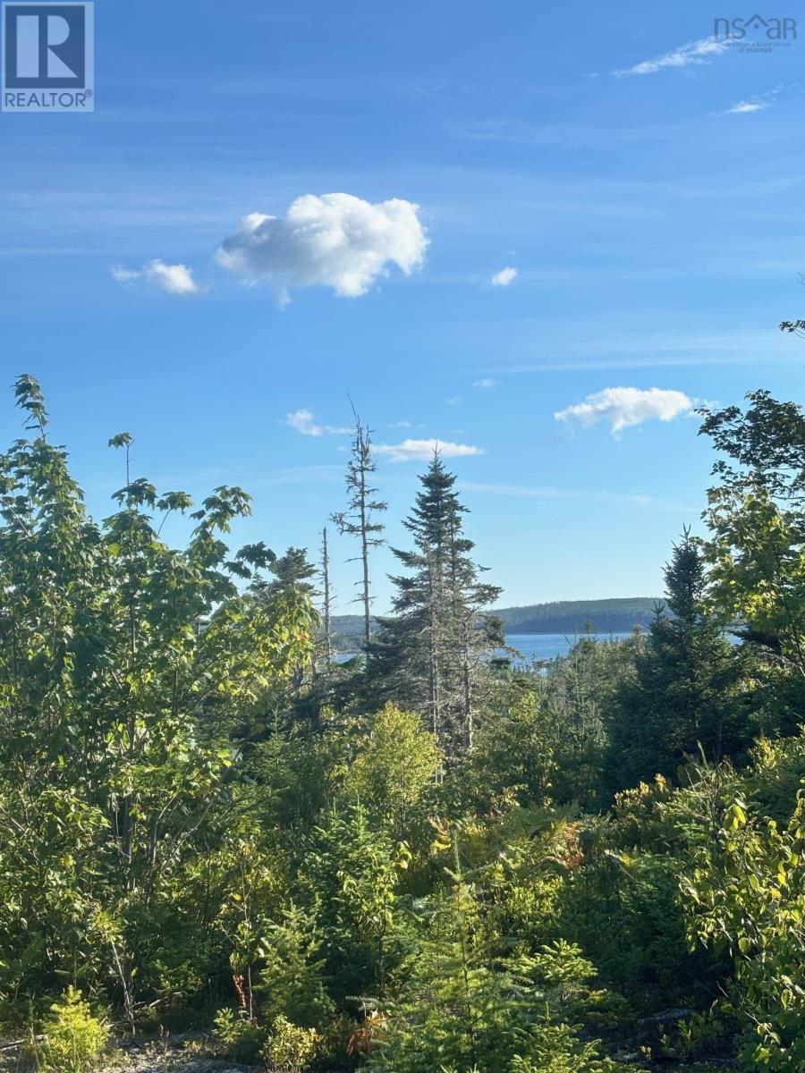 Lot 2 Highway 7, Port Dufferin, Nova Scotia  B0J 2R0 - Photo 21 - 202622662