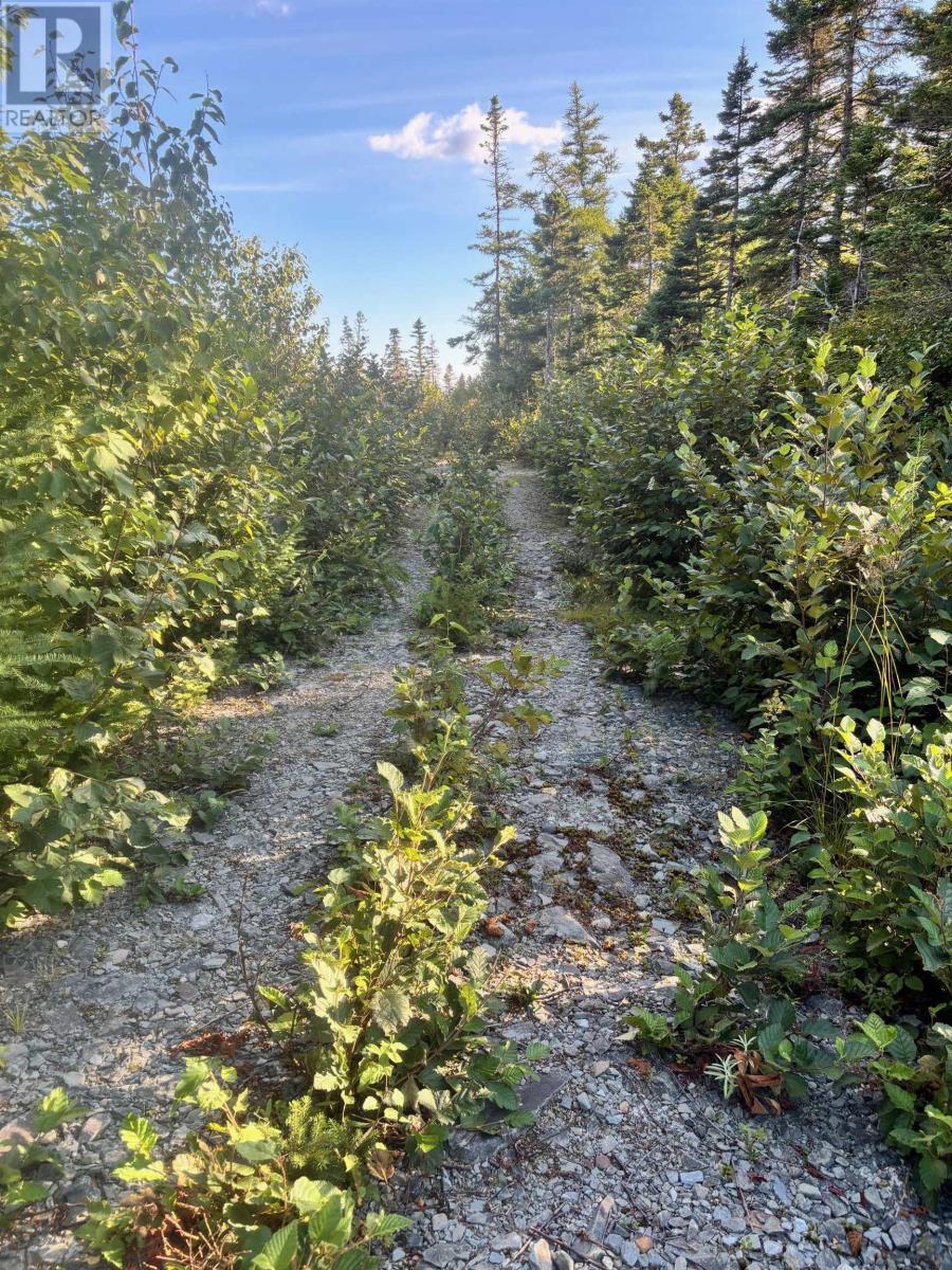 Lot 2 Highway 7, Port Dufferin, Nova Scotia  B0J 2R0 - Photo 22 - 202622662