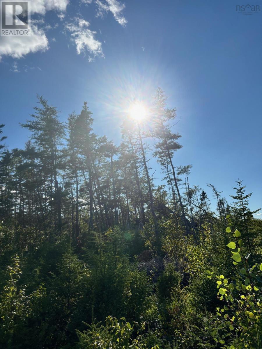 Lot 2 Highway 7, Port Dufferin, Nova Scotia  B0J 2R0 - Photo 23 - 202622662