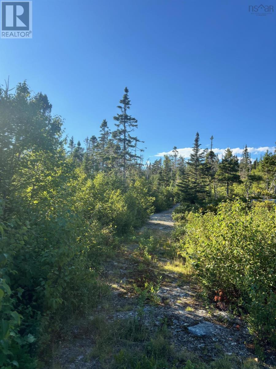 Lot 2 Highway 7, Port Dufferin, Nova Scotia  B0J 2R0 - Photo 24 - 202622662