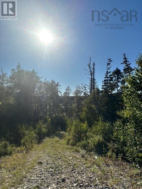Lot 2 Highway 7, Port Dufferin, Nova Scotia  B0J 2R0 - Photo 27 - 202622662