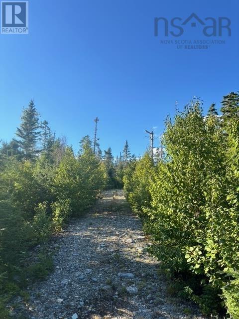 Lot 2 Highway 7, Port Dufferin, Nova Scotia  B0J 2R0 - Photo 5 - 202622662