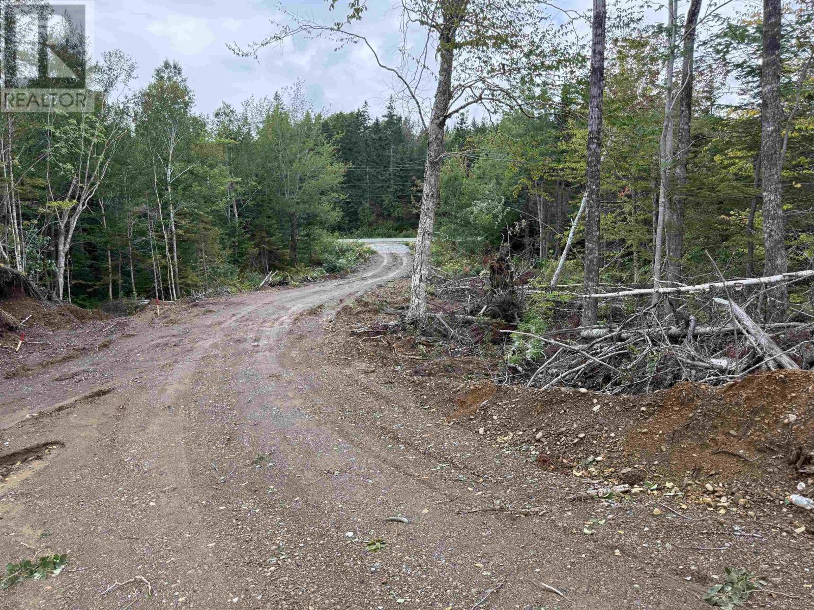Lot 2 Grand Mira North Road, Marion Bridge, Nova Scotia  B1K 1B3 - Photo 7 - 202622780