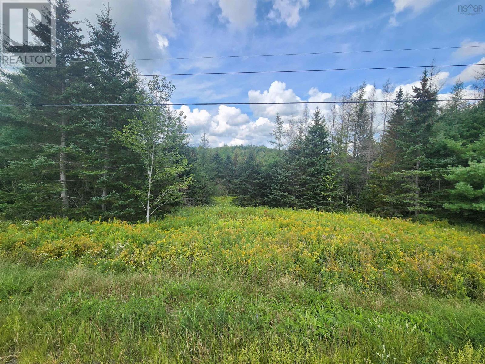 Lot 236 Highway, Kennetcook, Nova Scotia  B0N 1T0 - Photo 3 - 202622802