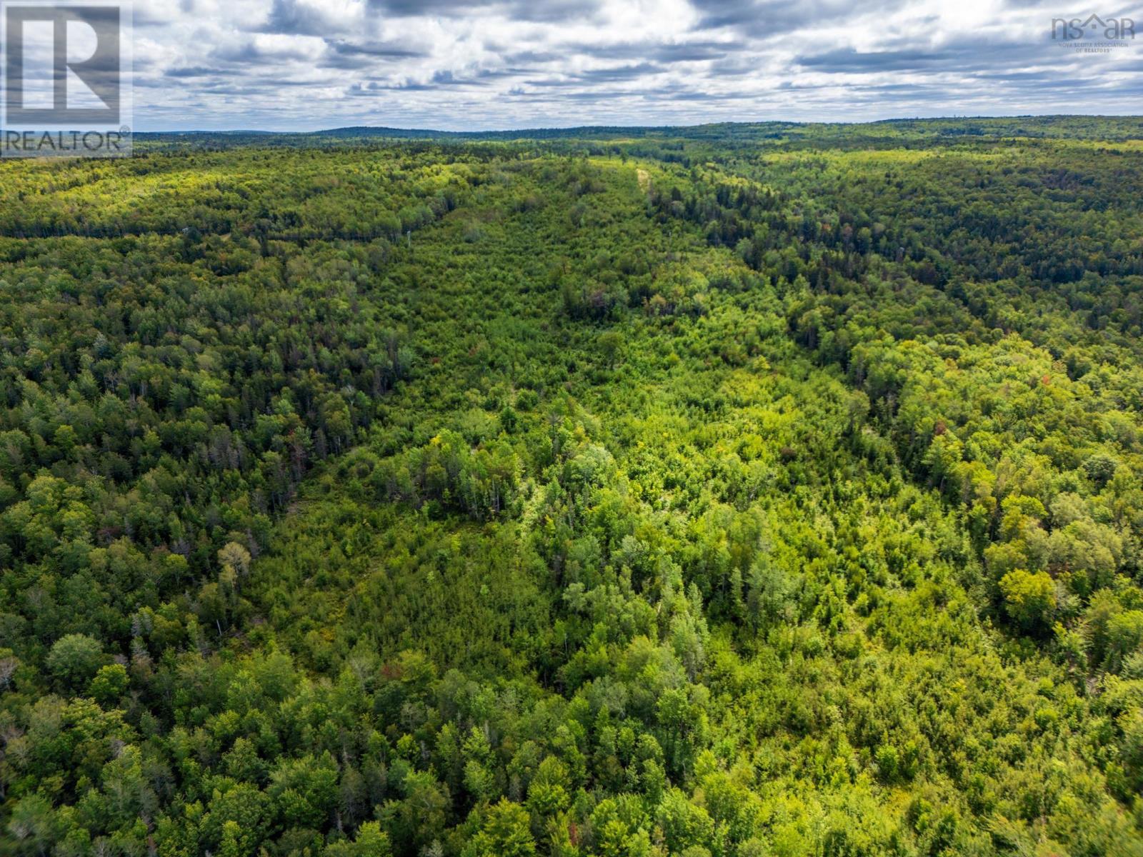 Lot 2 Highway 201, South Williamston, Nova Scotia  B0S 1M0 - Photo 2 - 202622842