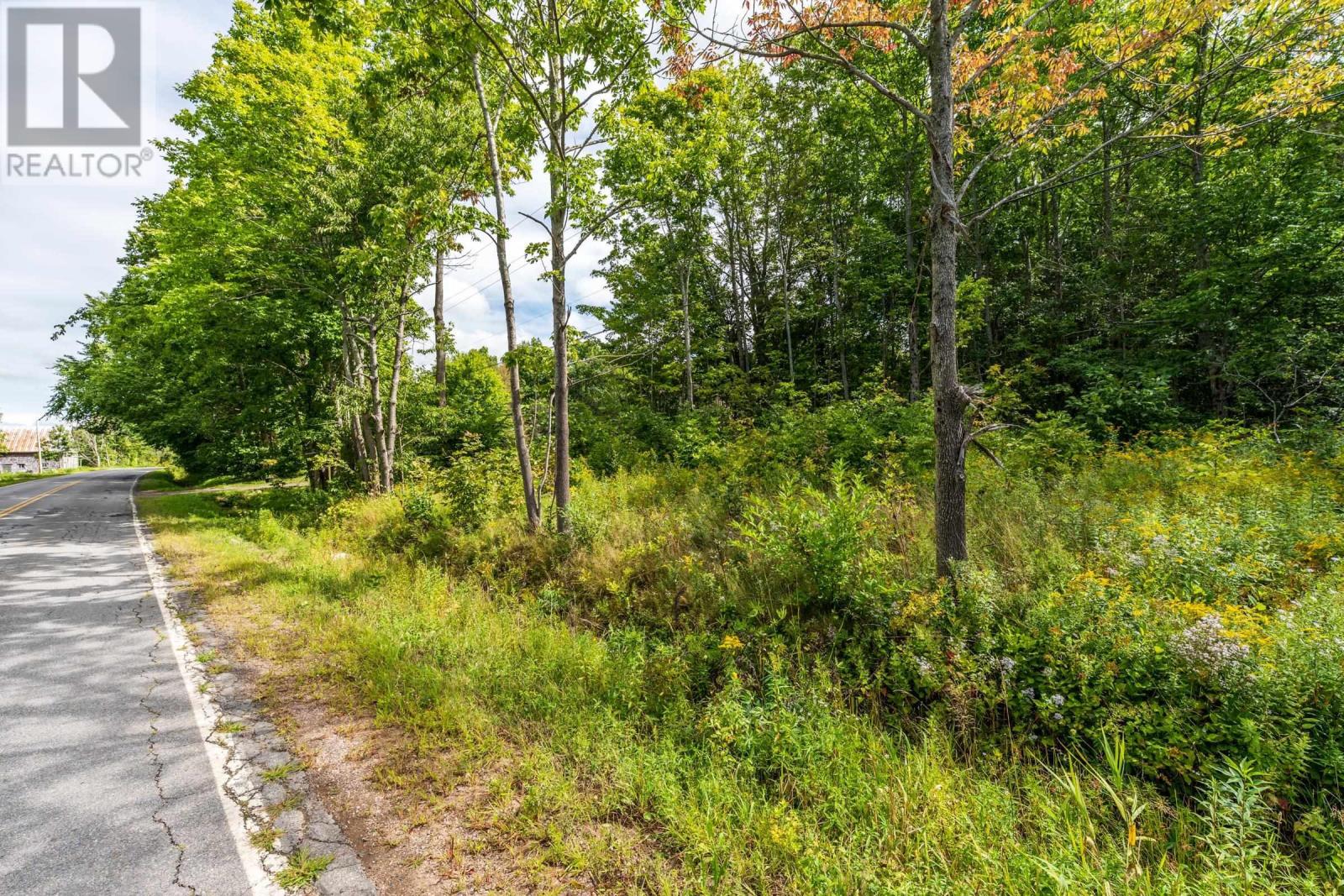 Lot 2 Highway 201, South Williamston, Nova Scotia  B0S 1M0 - Photo 5 - 202622842