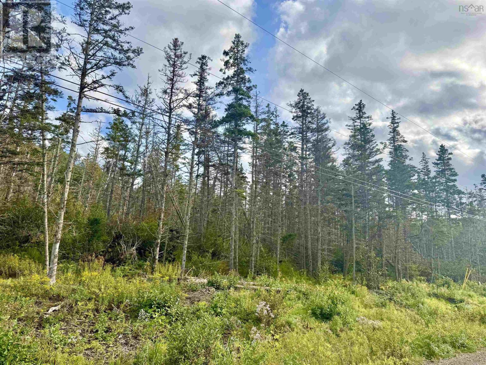 Lot B Old Baxter Mill Road, Baxters Harbour, Nova Scotia  B0P 1H0 - Photo 7 - 202622870