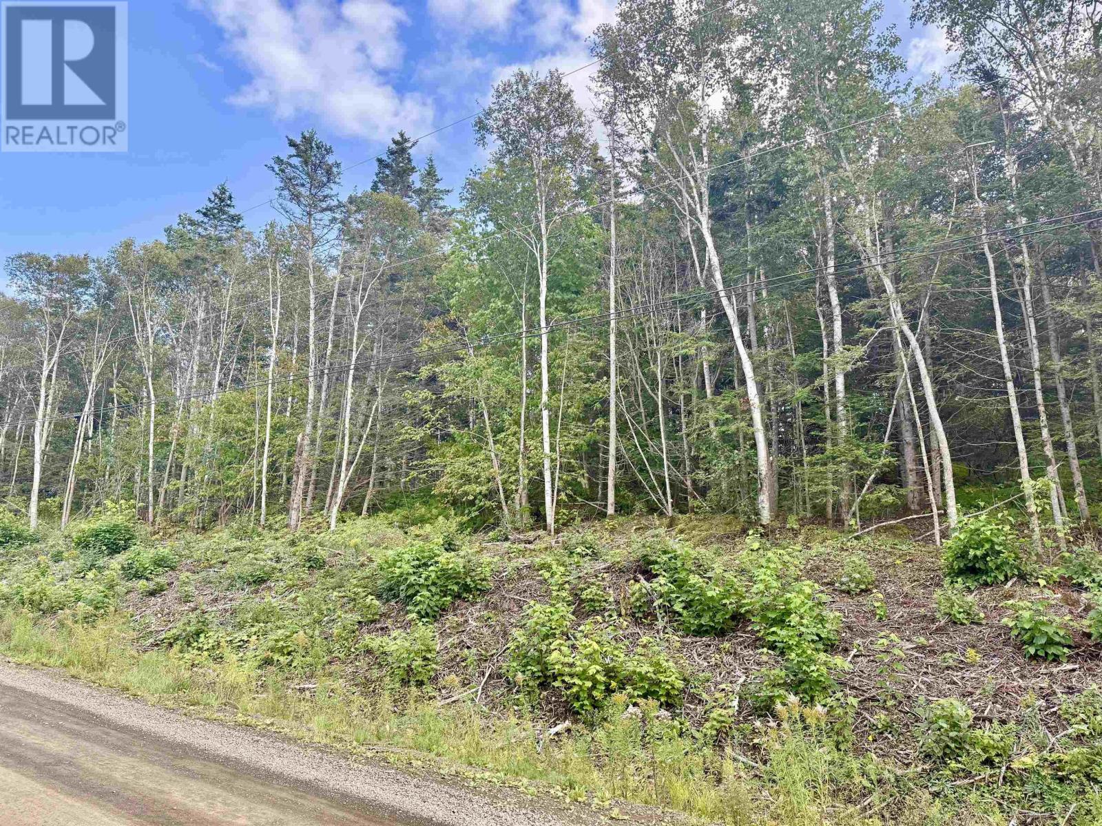Lot B Old Baxter Mill Road, Baxters Harbour, Nova Scotia  B0P 1H0 - Photo 8 - 202622870