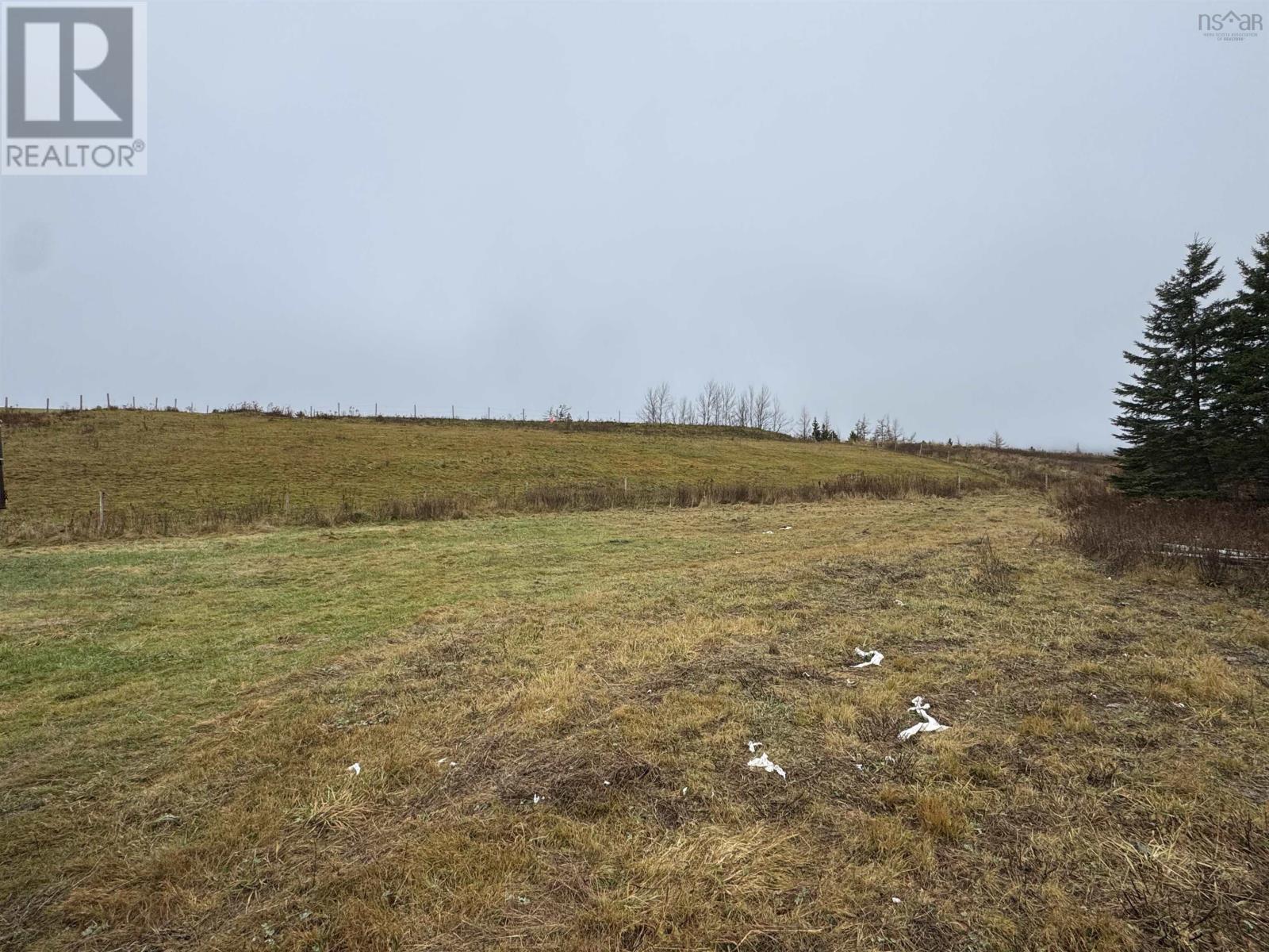 0 Crestdale Drive, Sydney Forks, Nova Scotia  B1L 1A2 - Photo 18 - 202623117