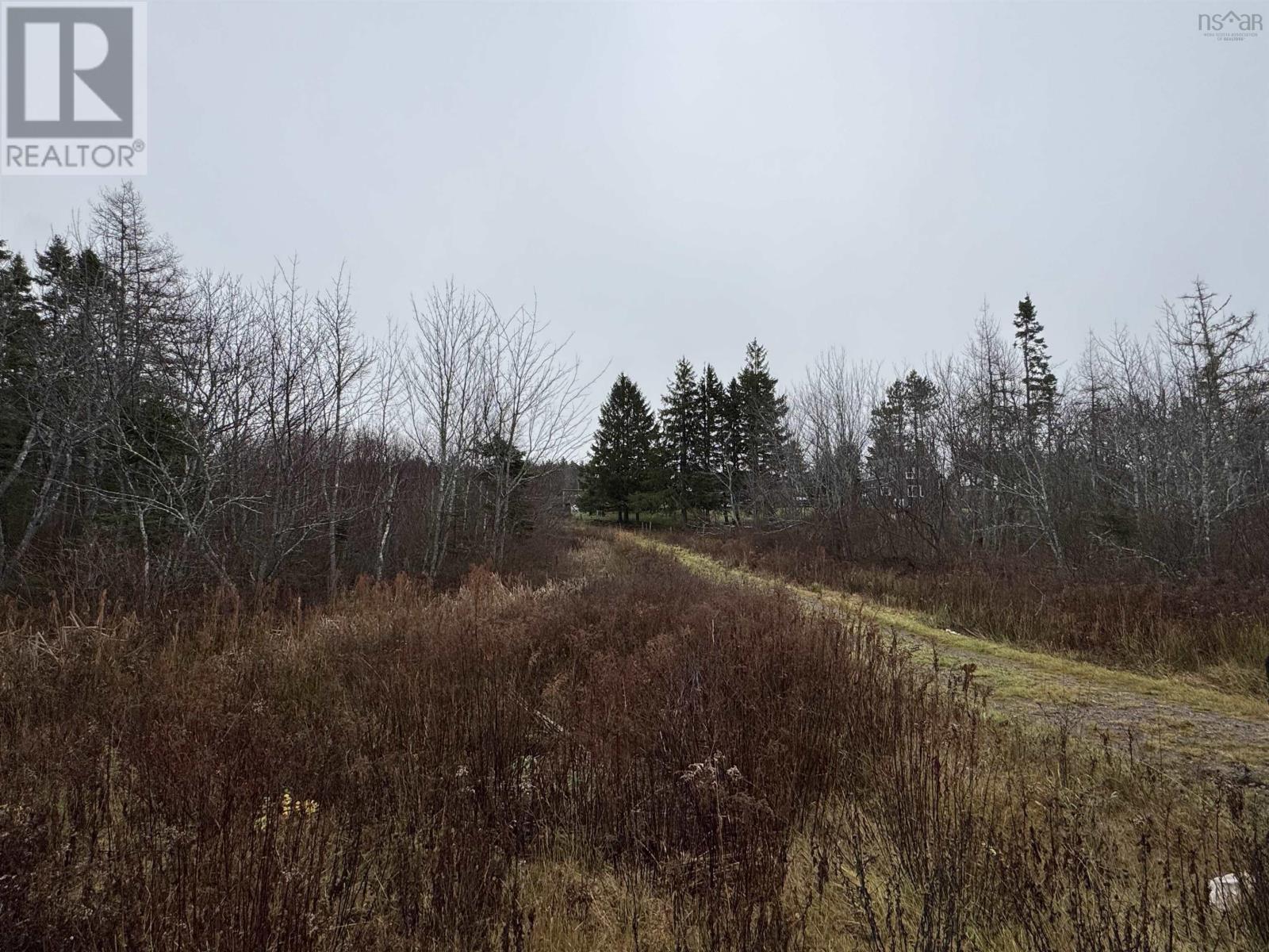 0 Crestdale Drive, Sydney Forks, Nova Scotia  B1L 1A2 - Photo 19 - 202623117