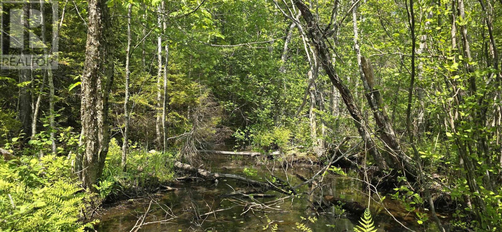 Lot 174a Spruce Drive, Hemford, Nova Scotia  B0R 1E0 - Photo 11 - 202623331