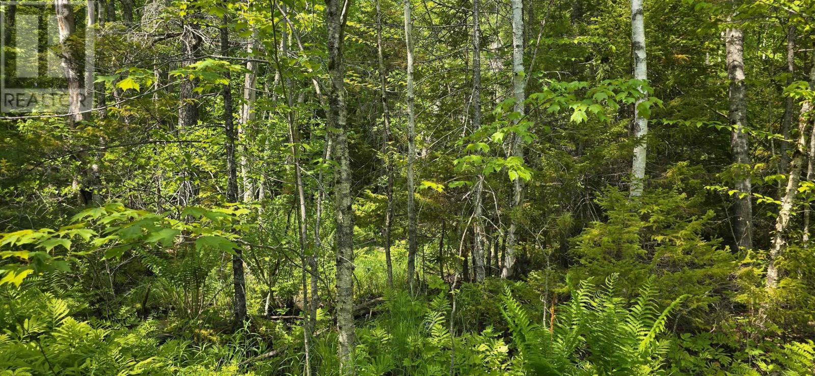 Lot 174a Spruce Drive, Hemford, Nova Scotia  B0R 1E0 - Photo 12 - 202623331