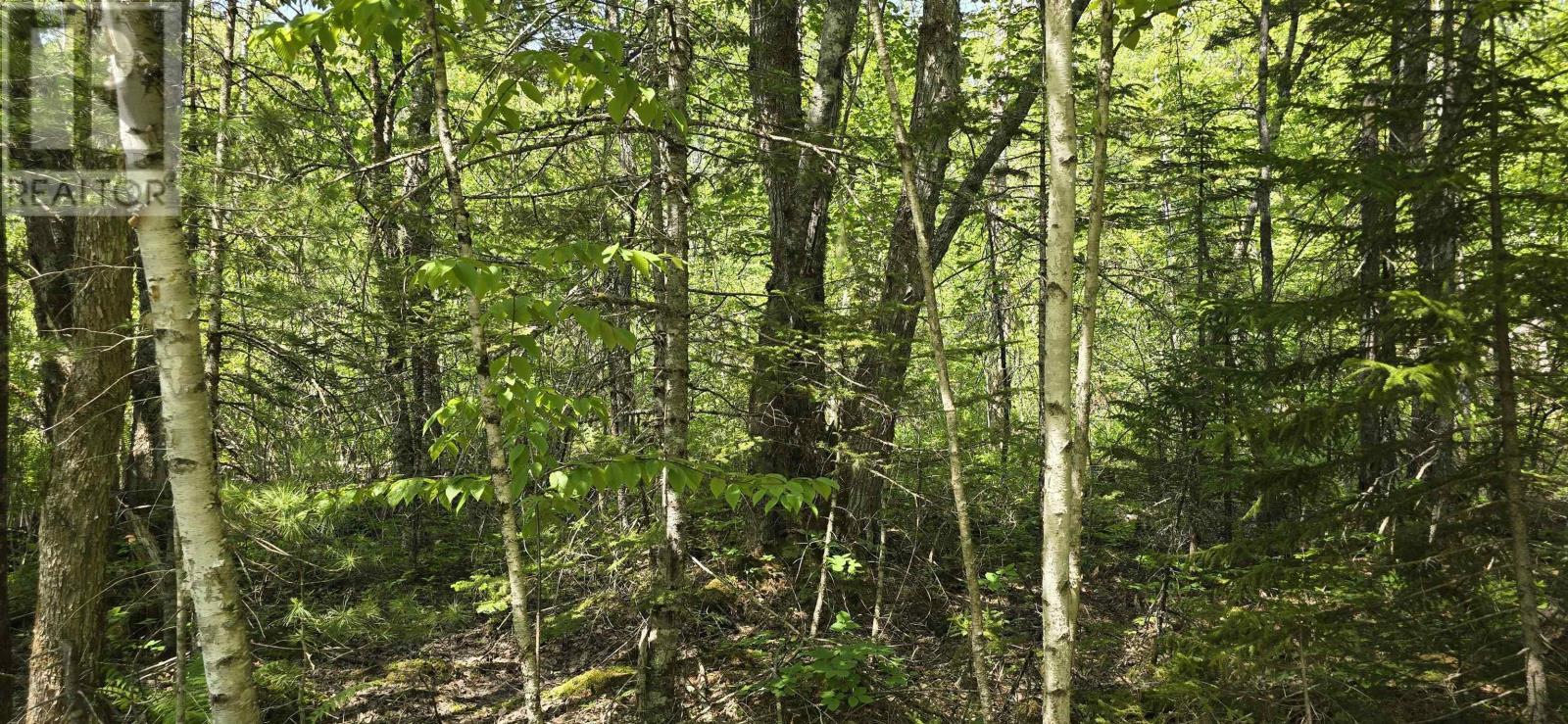 Lot 174a Spruce Drive, Hemford, Nova Scotia  B0R 1E0 - Photo 6 - 202623331