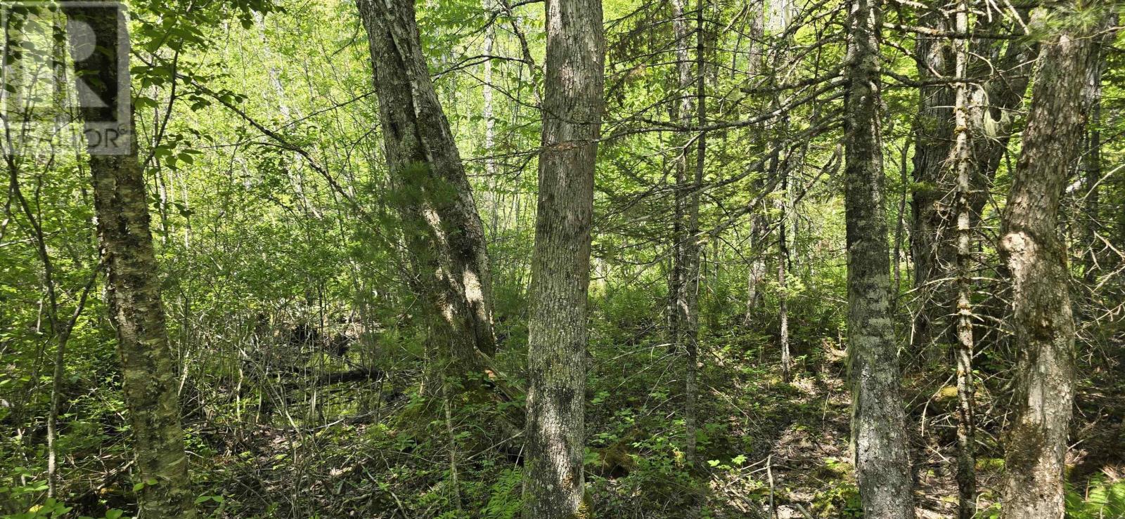 Lot 174a Spruce Drive, Hemford, Nova Scotia  B0R 1E0 - Photo 7 - 202623331