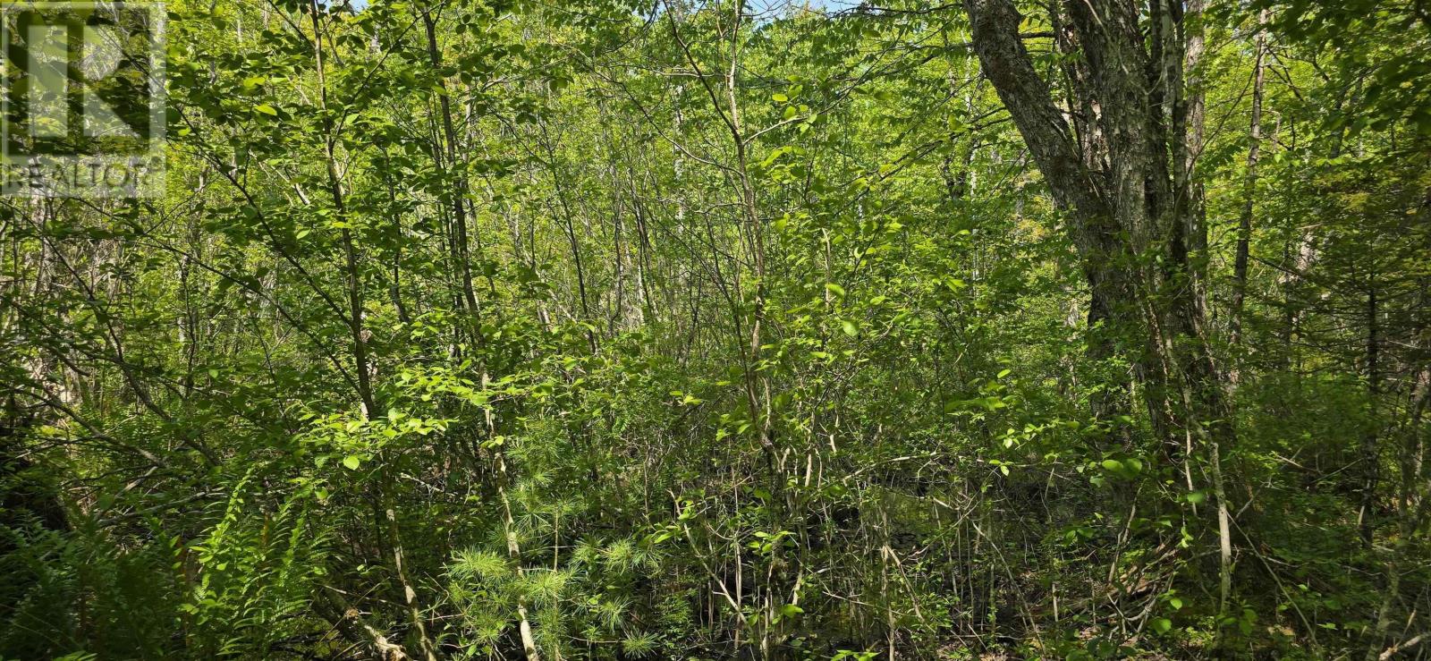 Lot 174a Spruce Drive, Hemford, Nova Scotia  B0R 1E0 - Photo 8 - 202623331