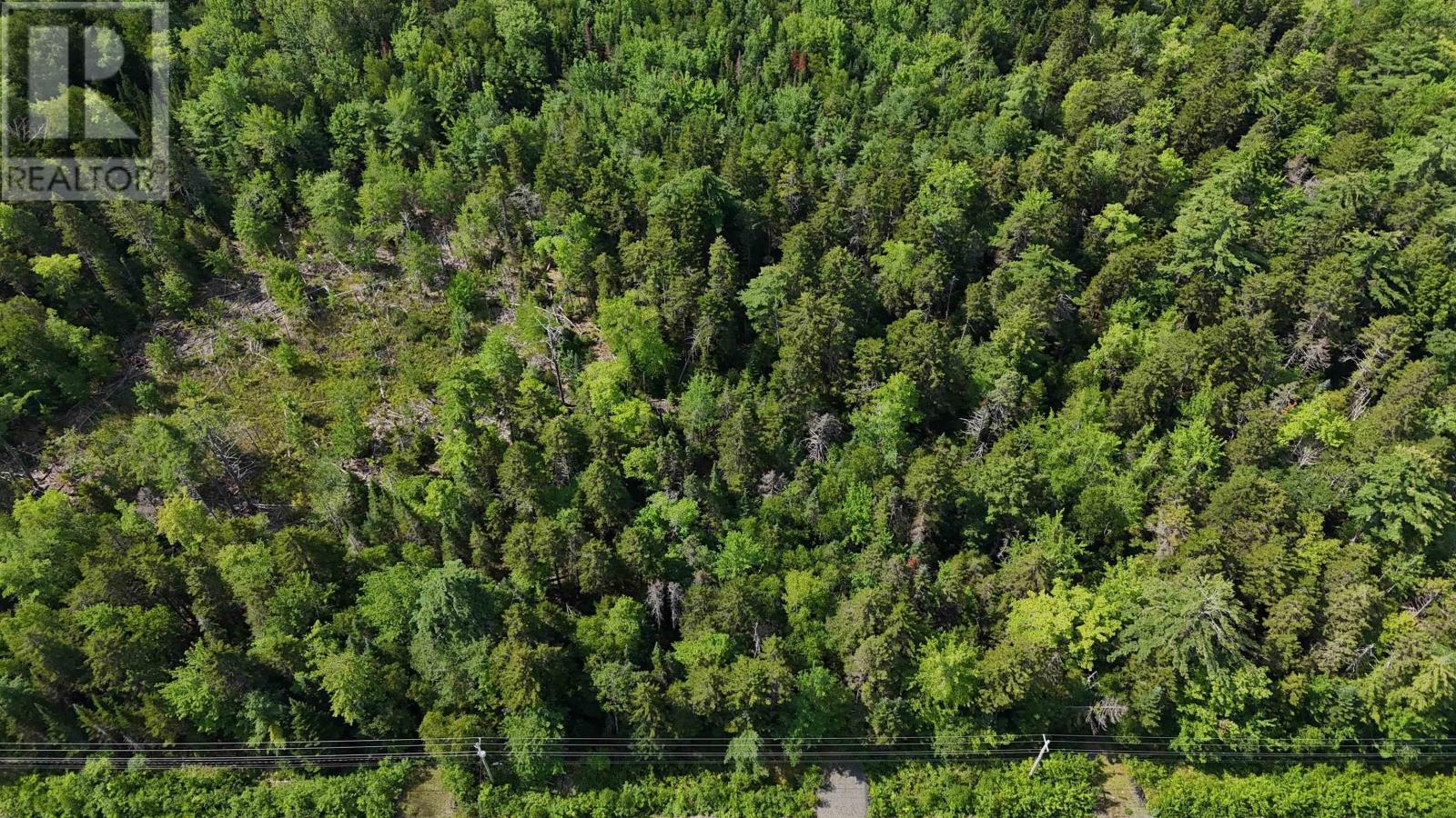 Lot 105 Upper Branch Road, Hemford, Nova Scotia  B0R 1E0 - Photo 5 - 202623332